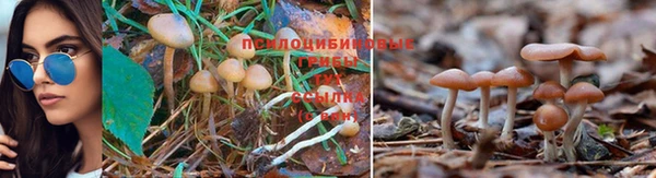 прущая мука Бородино