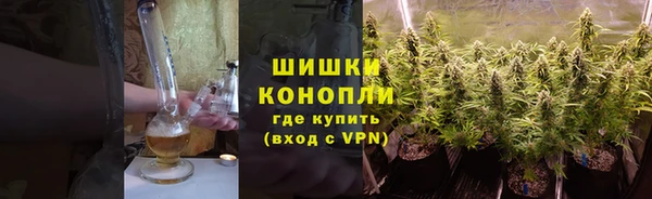 сатива Бронницы