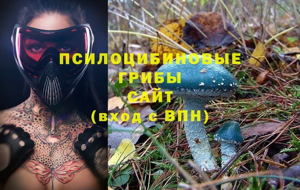 сатива Бронницы