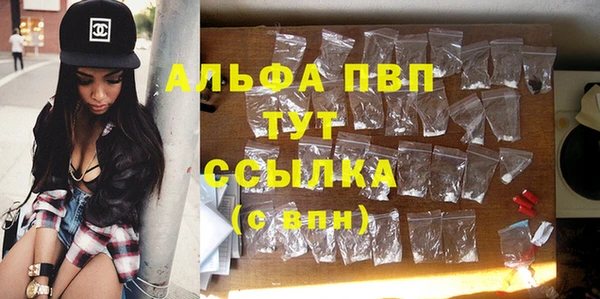 сатива Бронницы
