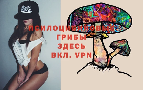 прущая мука Бородино