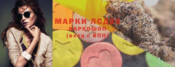 сатива Бронницы