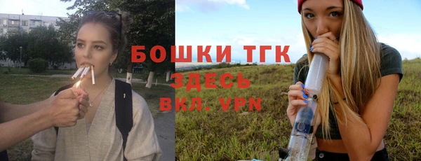 сатива Бронницы